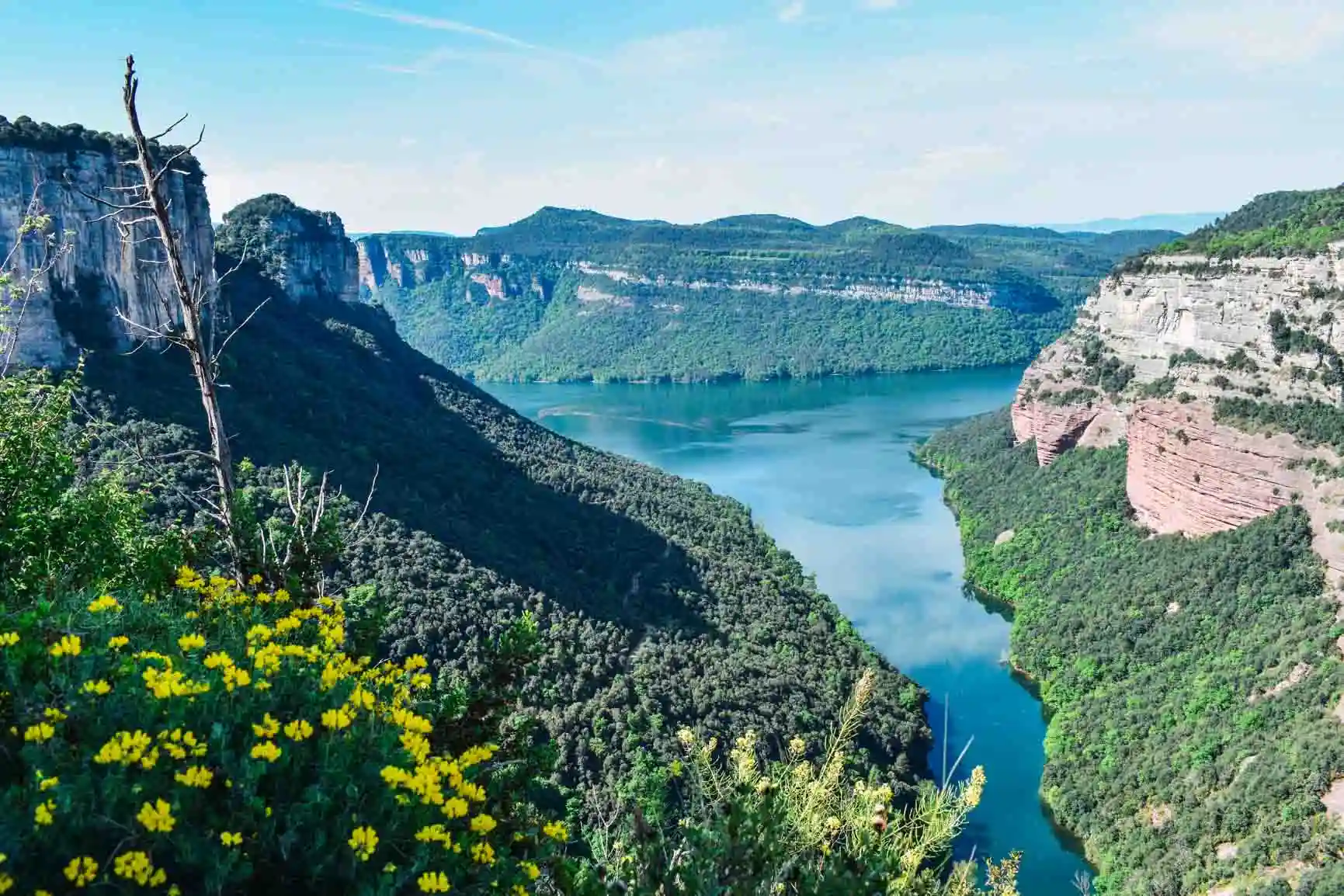 Los millors restaurants de Osona (Nov 2025)